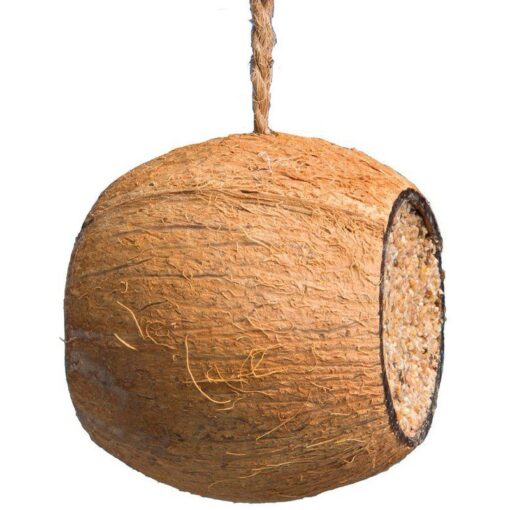 Kokosnøtt med talg og frø