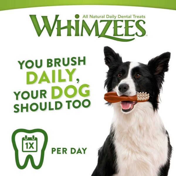 Whimzees Toothbrush, Tannbørste til hund