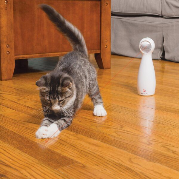 PetSafe Frolicat bolt Laser