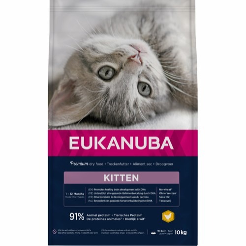 Eukanuba Kitten Healthy Start 10kg