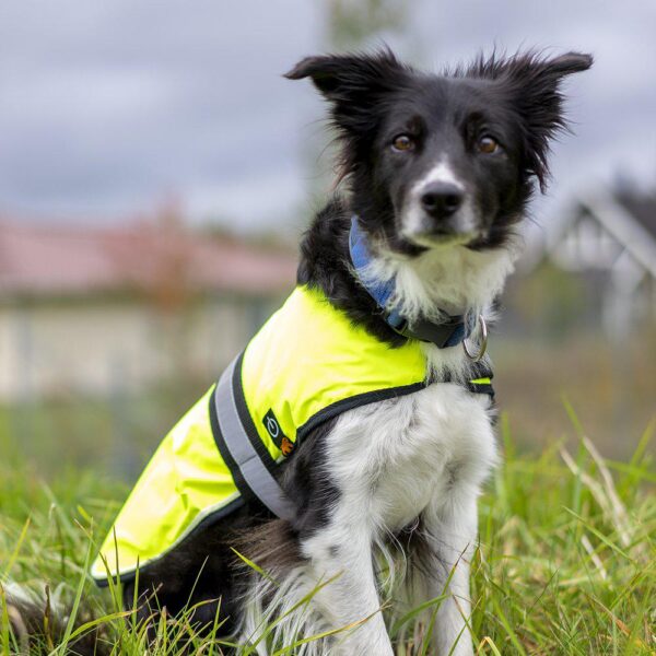 Ferplast Radius Refleksvest til hund