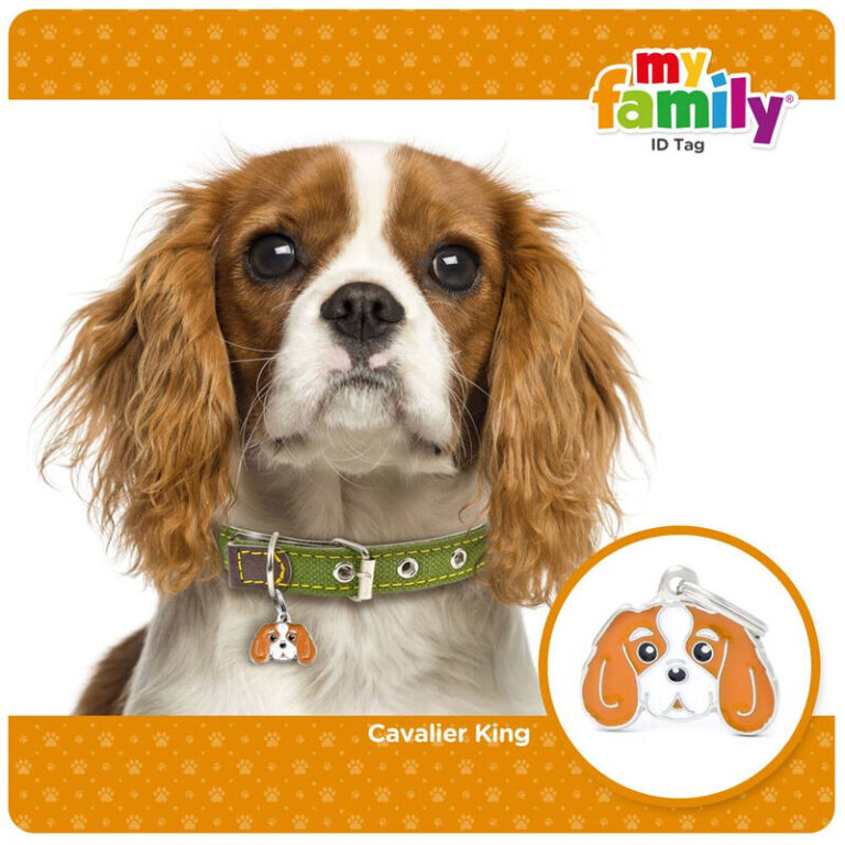 Myfamily Cavalier king charles IDtag