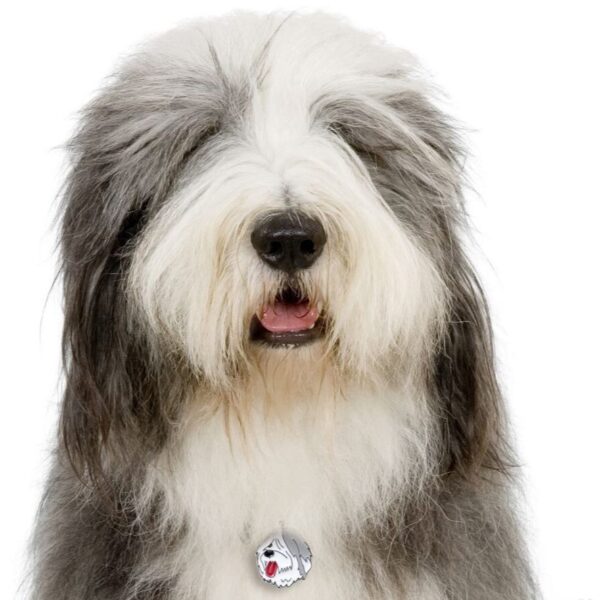 Myfamily Old English Sheepdog IDtag