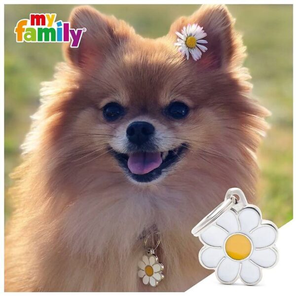 Myfamily Pomeranian IDtag