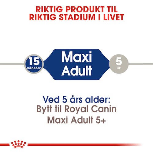 RC Maxi Adult 26 15kg
