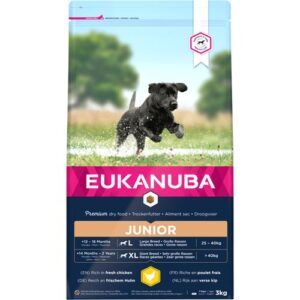 Eukanuba Junior Large Breed