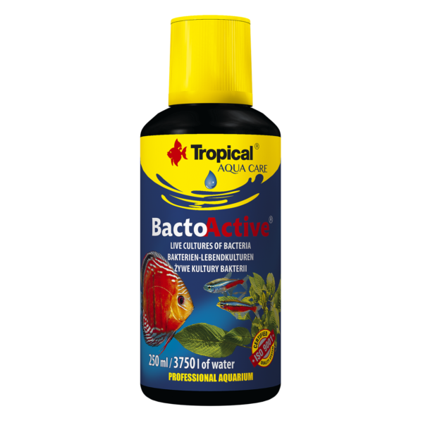 Tropical Bacto Active