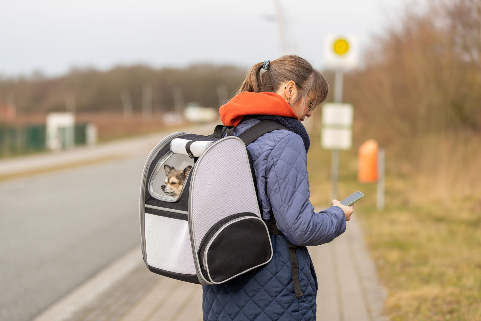 Kan hunder sitte i ryggsekken?