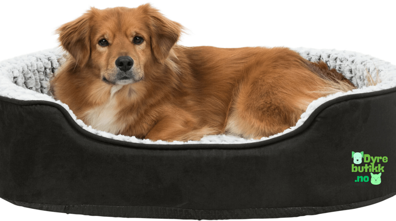 Hundeseng