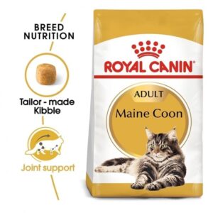 Royal Canin Maine Coon