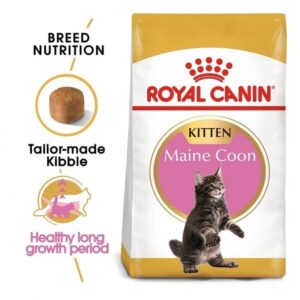 Royal Canin Maine Coon Kitten