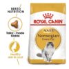 Royal Canin Norwegian Forest cat