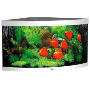 Juwel Hjørneakvarium LED Trigon 350 123x87x65cm