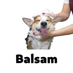 Balsam