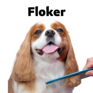 Floker