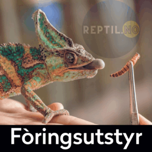 Fòringsutstyr