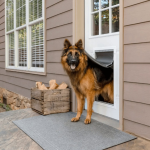 Hund-Katteluke aluminium, for dårlig vær