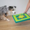 Nina Ottosson Dog Multipuzzle