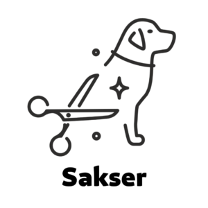 Sakser