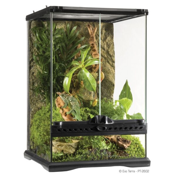 Terrarie og Terrarium for reptil