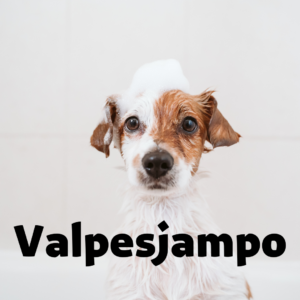 Valpesjampo