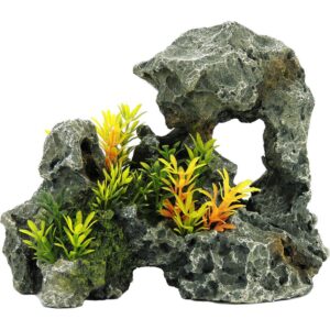 grey-rock-with-plants-242x145x185mm.jpg