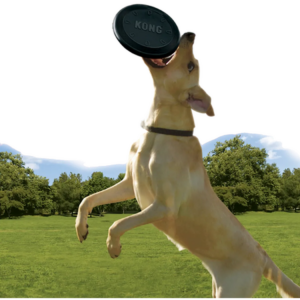 Kong Extreme Frisbee