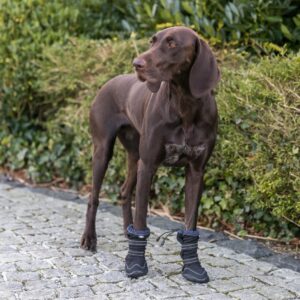 Hundesokk Walker Active Long Protective.................jpg