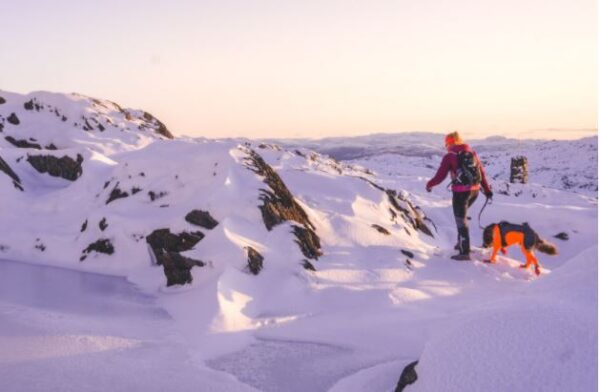 Non-Stop Dogwear Protector Snow - Snødrakt Heldress til hund