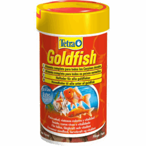 Tetra Goldfish