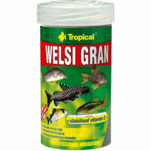 Tropical Welsi Gran