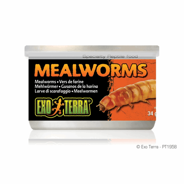 Exo Terra Mealworms 34gr