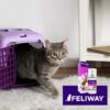 Feliway Classic Spray