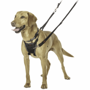 Halti No Pull - Antitrekksele