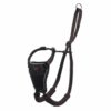 Halti No Pull - Antitrekksele
