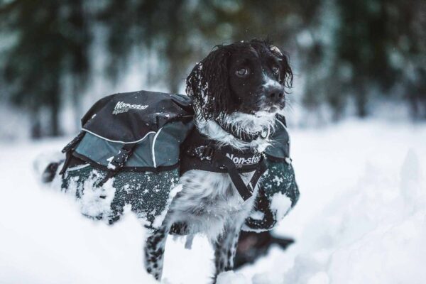 Non-Stop Dogwear Amundsen Kløv til hund