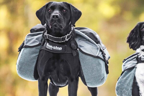 Non-Stop Dogwear Amundsen Kløv til hund