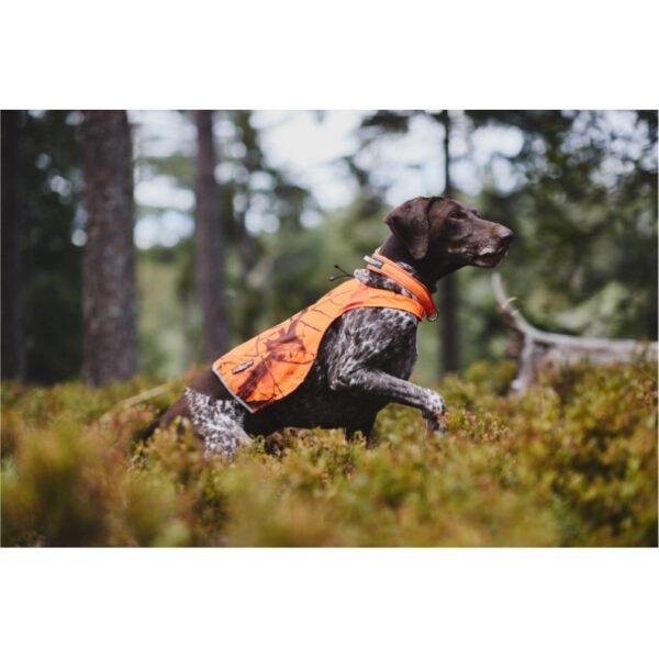 Non-Stop Dogwear Camo Cover - Kamuflasjedekken til hund