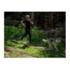 Non-Stop Dogwear CaniX - Canicross Long Tights