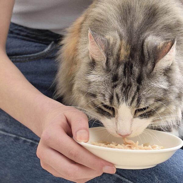 Pouches Inaba våtfòr katt Kylling og Laks