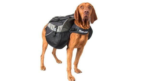 Non-Stop Dogwear Amundsen Kløv til hund