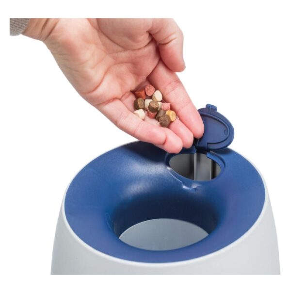 Dog Activity Ball & Treat strategy game