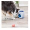 Dog Activity Ball & Treat strategy game