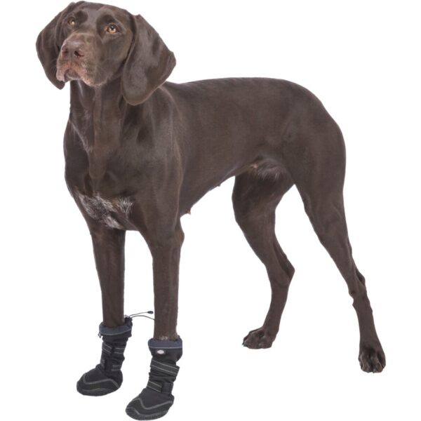 Hundesokk Walker Active Long Protective