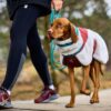 Non-Stop Dogwear Trekking Fleece Dog Jacket Hundedekken