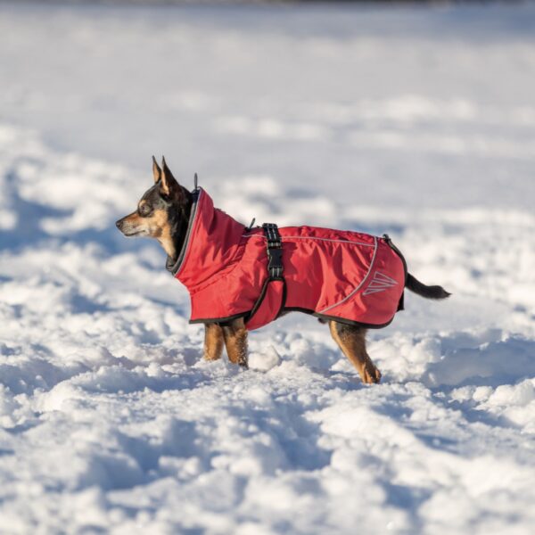 Trixie Explore Thermo vinterdekken