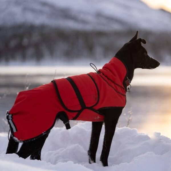 Canelana Ulldekken Thermo Vinterdekken Hund