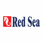 Red Sea